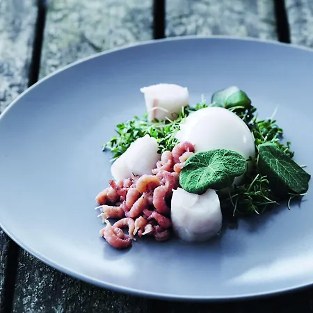 Gl. Brydegaard מלון