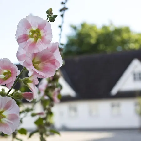 Gl. Brydegaard 酒店 Brydegård