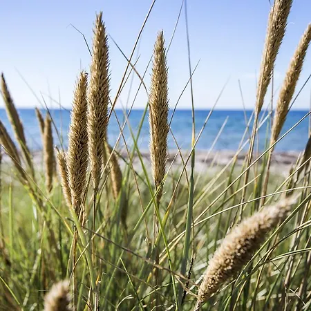 Gl. Brydegaard 3* ברידגרד