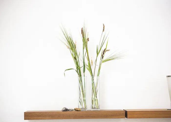 Отель Gl. Brydegaard Brydegard