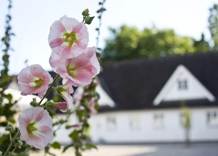 Gl. Brydegaard Отель Brydegard