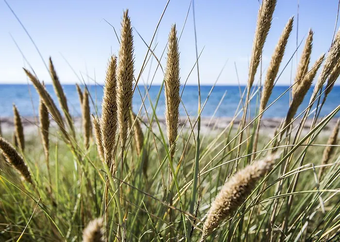 Gl. Brydegaard 3* Brydegård